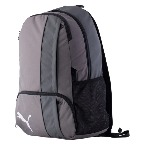Puma Team Goal Backpack - Grey 07701704