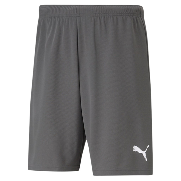 Puma Team Rise Shorts - Grey 704942-13