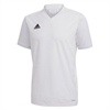 adidas Women's Regista 20 Jersey - White/White FQ2109