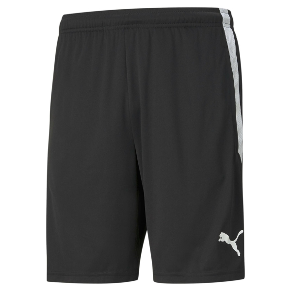 Puma Team Liga 25 Training Shorts - Black 657249-03