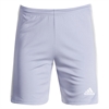 adidas Squadra 21 Shorts - Team Light Grey GN5777