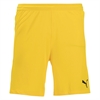 Puma Youth Team Final 21 Shorts - Yellow 704371-07