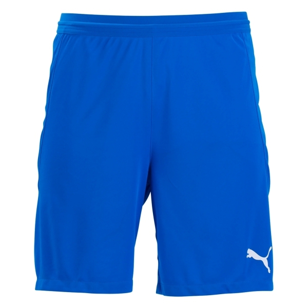 Puma Youth Team Final 21 Shorts - Blue 704371-02