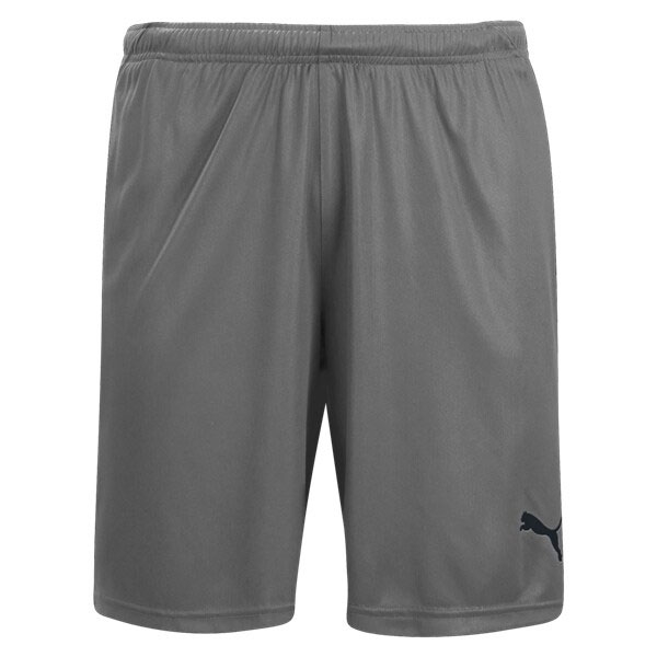 Puma Liga Shorts - Steel Grey/Black 703431-13