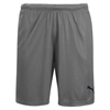 Puma Liga Shorts - Steel Grey/Black 703431-13