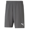 Puma Team Rise Shorts - Grey 704942-13