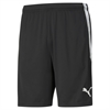 Puma Team Liga 25 Training Shorts - Black 657249-03