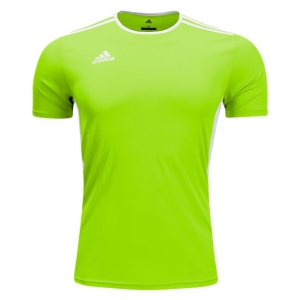 adidas Entrada 18 Jersey - Solar Green/White CE9758