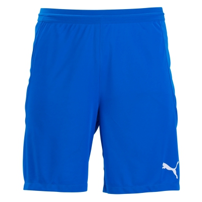 Puma Team Final 21 Shorts - Blue 704257-02