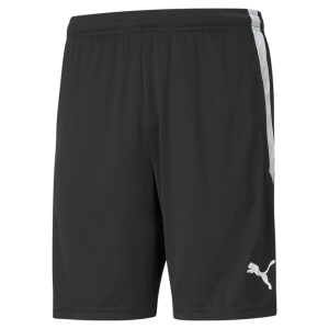 Puma Team Liga 25 Training Shorts - Black 657249-03