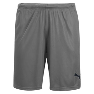 Puma Liga Shorts - Steel Grey/Black 703431-13