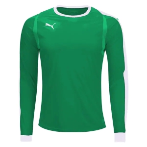 Puma Youth Liga Goalkeeping Jersey - Green 703443-05