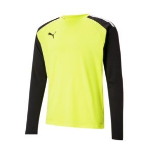 Puma Youth Team Pacer GK Jersey - Yellow 704939-42