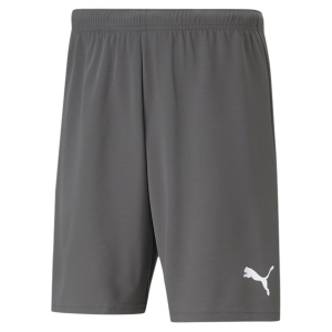 Puma Team Rise Shorts - Grey 704942-13